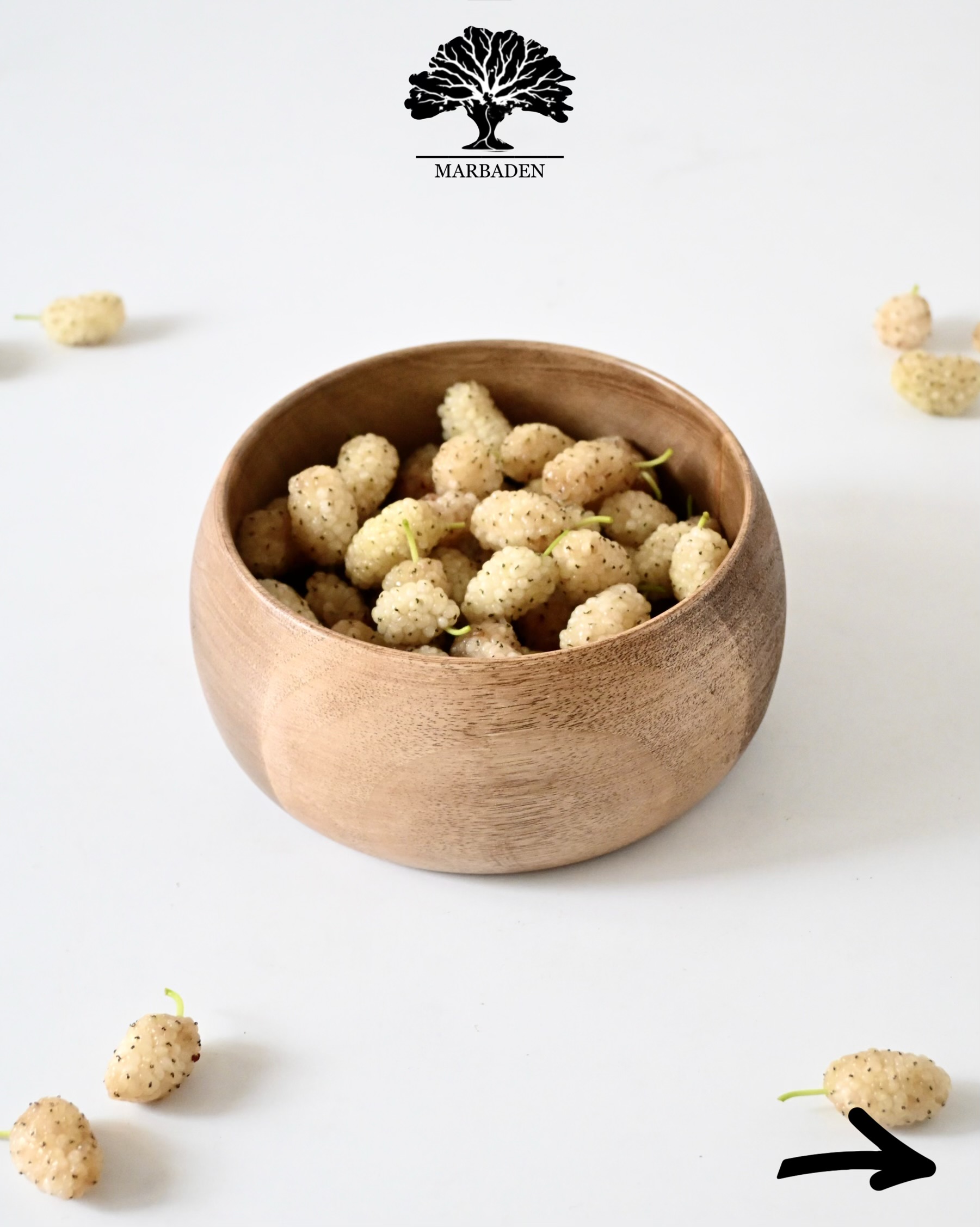 کاسه چوبی مدل خمره قطر 15cm ماربادن (چوب گردو) Menoza-B15