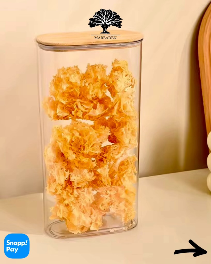 بانکه ماکارونی کتابی مستطیل سایز 28cm پیرکس درب بامبو Leo-L28